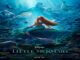 The Little Mermaid love