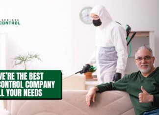 The Benefits of Choosing Local Pest Control Experts