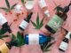 How to Spot High-Quality CBD Products in a Crowded Market CBD Products