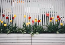 How to transform your garden on a budget in time for summer