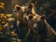 Understanding Bear Habitat and Conservation Efforts Bear Habitat