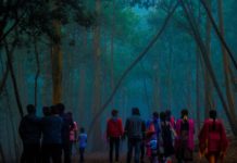 Lesser Known Hill Stations around Ooty Lesser Known Hill Stations around Ooty