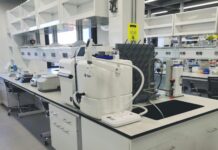 Gonadorelin: A Peptide Gateway into Endocrine and Reproductive Research Peptide Gateway