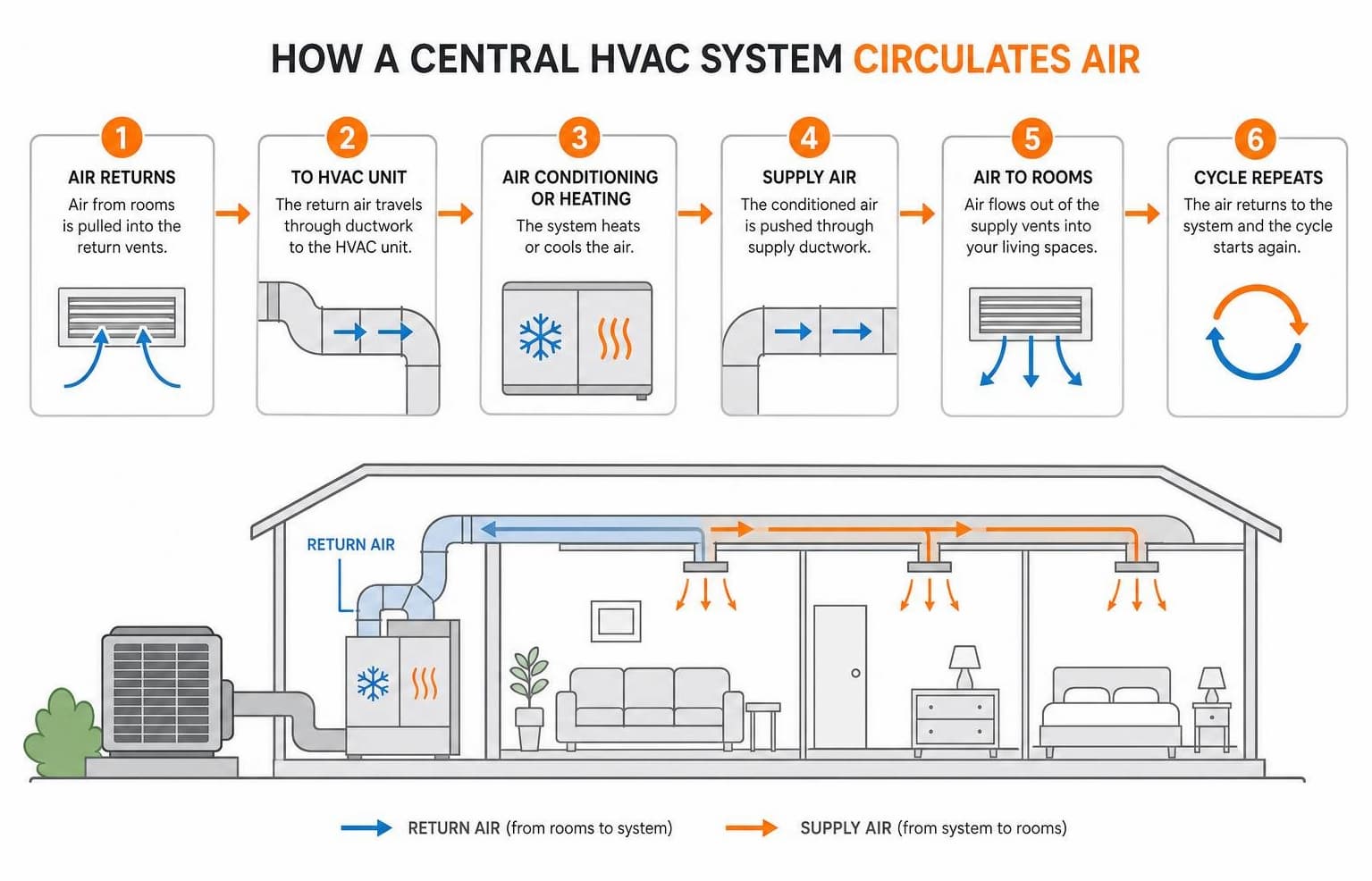 system circulates