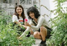 Taking Proper Care of Your Yard: Essential Tips to Follow Proper Care