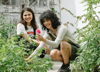 Taking Proper Care of Your Yard: Essential Tips to Follow Proper Care