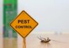 DIY vs. Professional Exterminator Pest Control: Which is Better? Pest Control