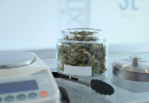 The Ultimate Guide to Navigating Your Local Cannabis Dispensary Cannabis Dispensary