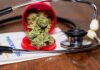 The Ultimate Guide on Where To Get Medical Cannabis Card Medical Cannabis Card