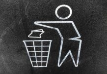 Making Waste Management Personal (Because It Should Be) Waste Management