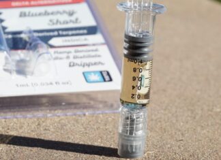 The Science of Cannabis Derived Terpenes: What You Need to Know cannabis