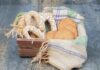 DIY Biscuit Gift Baskets: Easy & Affordable Ideas Gift Baskets